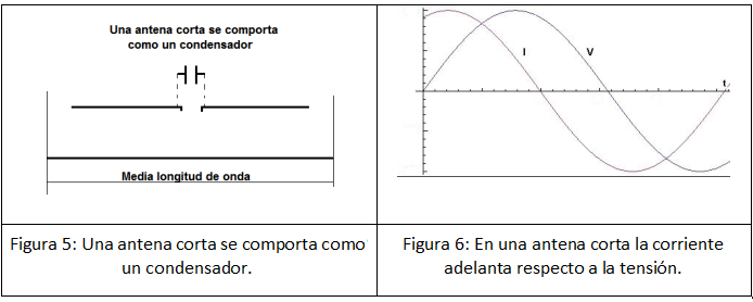Figura 5 y 6